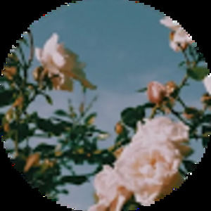 Meet your Posher, Silvana